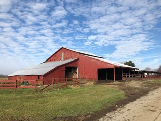 Property photo 4 - PRIME LAND AUCTION - 160+/- ACRES IN 4 TRACTS IN UNION COUTY, INDIANA